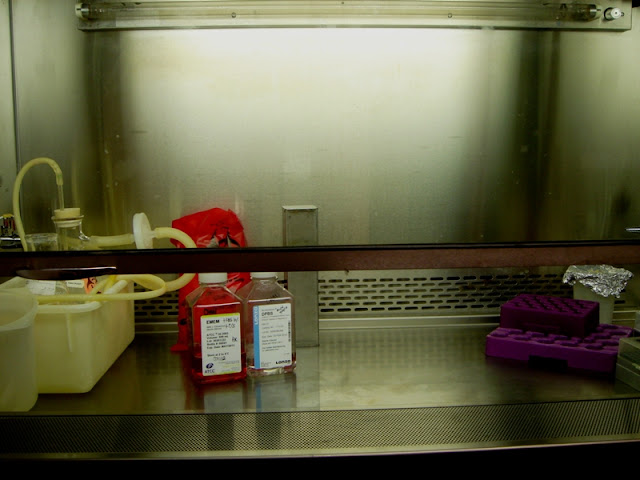 Урологи. Мыши. Девушка. 