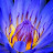 missionarypilot88 avatar image