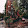 Tina Brackett Tina Brackett's profile photo