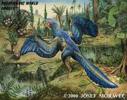 Archaeopteryx ternyata bukan bangsa burung FastStoneEditor Archaeopteryx ternyata bukan bangsa burung