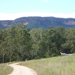 Views of the escarpment from the Euroka property on the Six Foot Track (412700)