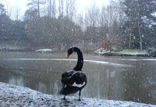 Old Whyly - Boutique Bed & Breakfast