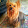Annaelise Sartori Annaelise Sartori's profile photo