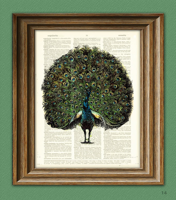 A peacock picture in a frame.