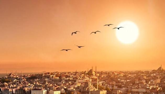 Cover photo