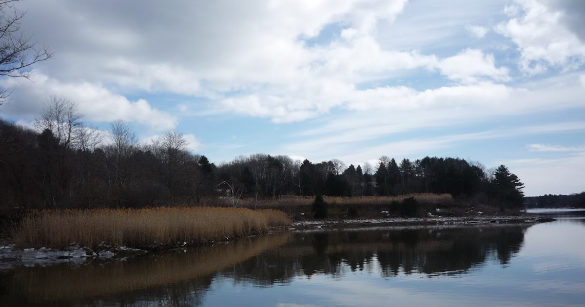 Daily Pics Photographs By Caren Marie Michel Yarmouth Town Landing