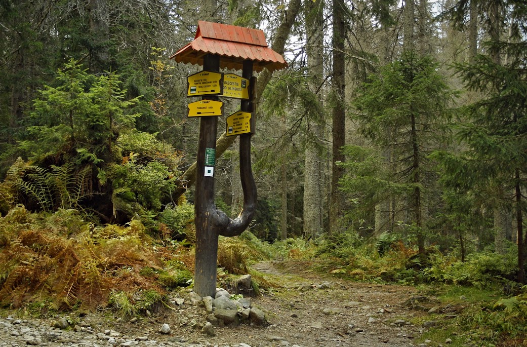 Rozejście szlaku do Doliny Hlińskiej