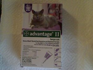  Bayer Advantage II Purple 4-Month Flea Control for Cats 9+ lbs.