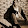 Saran Gumz Saran Gumz's profile photo