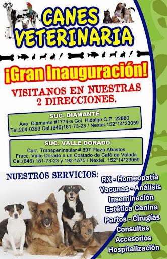 canes veterinaria, carretera Transpeninsular #897 local 13, Col. Valle Dorado Seccion Lagos, 22890 Ensenada, B.C., México, Cuidado de mascotas | BC