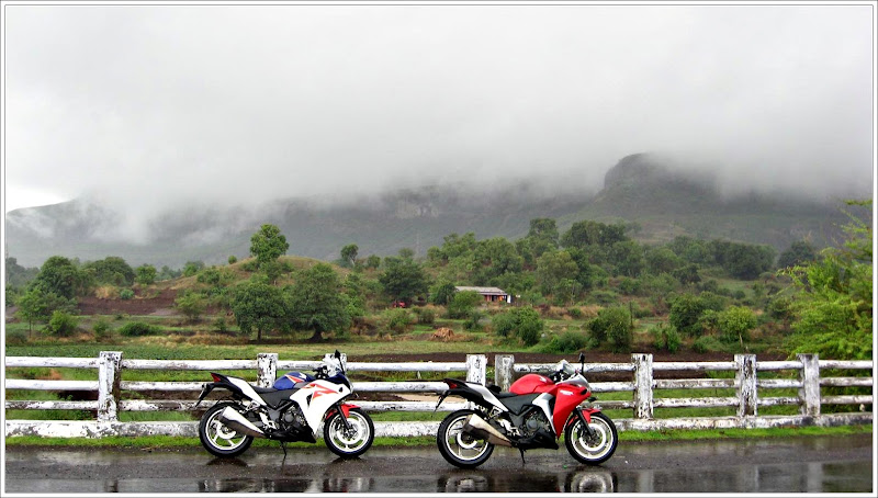 Posted Image