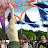 Iain Cozens avatar image