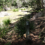 Track across Sandy Beach Ck (105973)