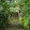 Alfons Jose Alfons Jose's profile photo