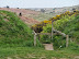 Footpath through The Valley between Hemsby and Winterton