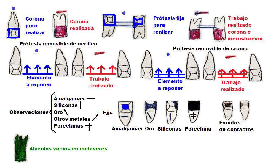 Areas Sobre Odontologia Forense Historia ClÍnica Del Paciente La Ficha OdontolÓgica 8883