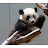 fengling li avatar image
