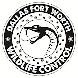Dallas Fort Worth Wildlife Control