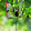 Diana Popescu Diana Popescu's profile photo