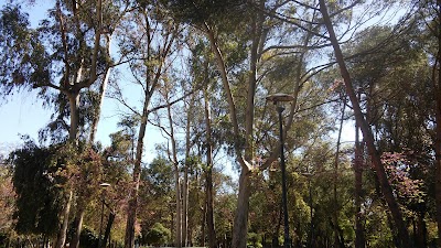 Photos of Parque de Las Acacias