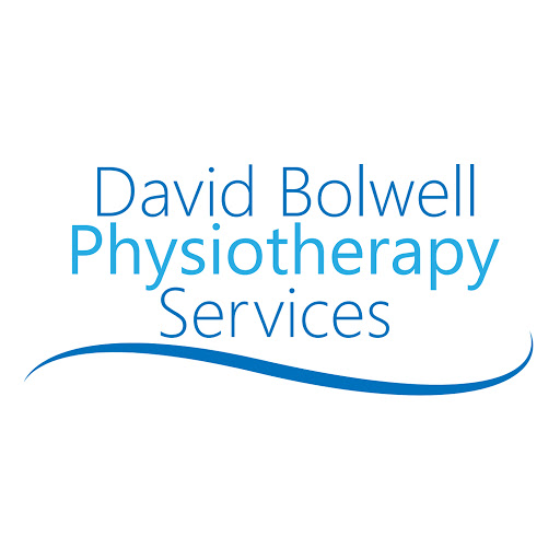 David Bolwell Physiotherapy Services - Whitchurch Clinic logo