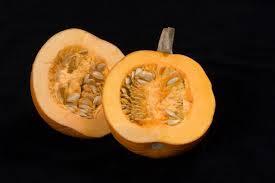C:\Users\Mazhar Sayeed\Pictures\Cross Section of Pumpkin.jpg