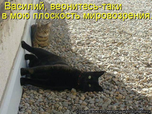 Ни дня без улыбки. Пора жениться... Ни дня без улыбки. Пора жениться...