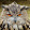 Steve Greene Steve Greene's profile photo