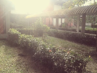 university