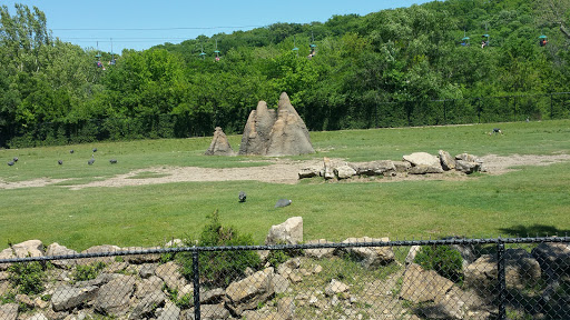 6800 Zoo Dr, Kansas City, MO 64132, USA