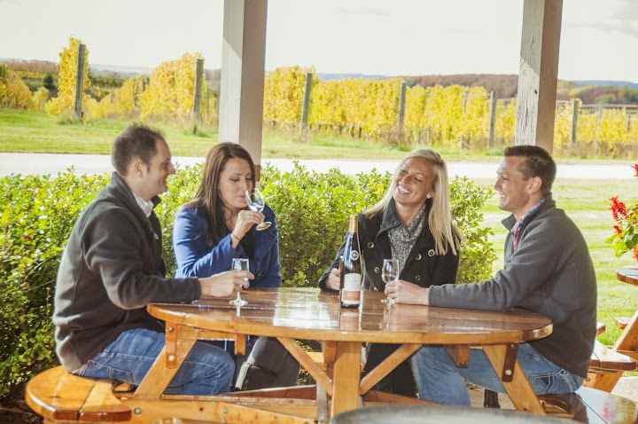 Traverse City Wine Country: Fall Colors and the Perfect Grapes