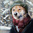 Cyrusc Martien avatar image