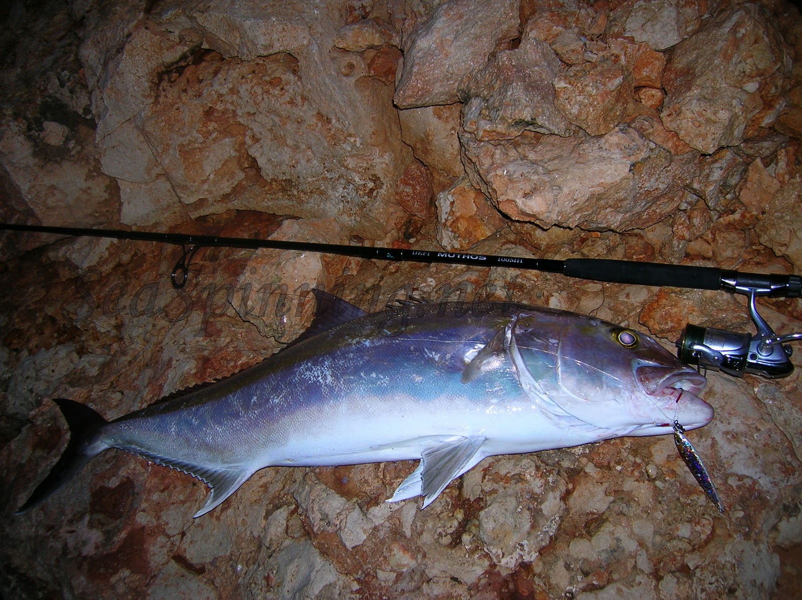 Άνοιξη και είδη των θαλασσινών θηραμάτων - jigging, πυροφάνι, ψαροντούφεκο, συρτή βυθού DSCN4594++blog