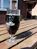 Pint of meantime stout at Froize Inn