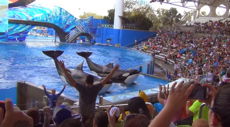 В Орландо, парк Sea World