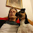 Adam Nicholas avatar image