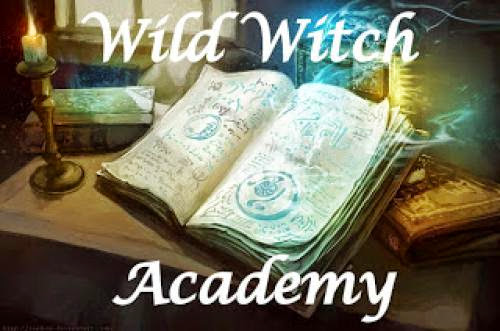 Wild Witch Academy