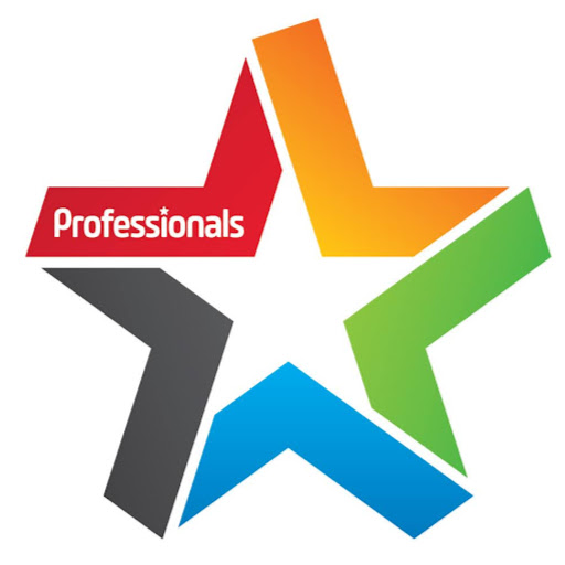 Professionals Palmerston North logo