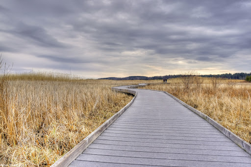 Presqu'ile Provincial Park