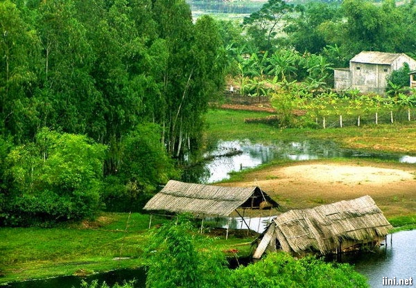 1001 bài thơ Quê Hương, tình yêu làng quê & nỗi nhớ | IINI Blog