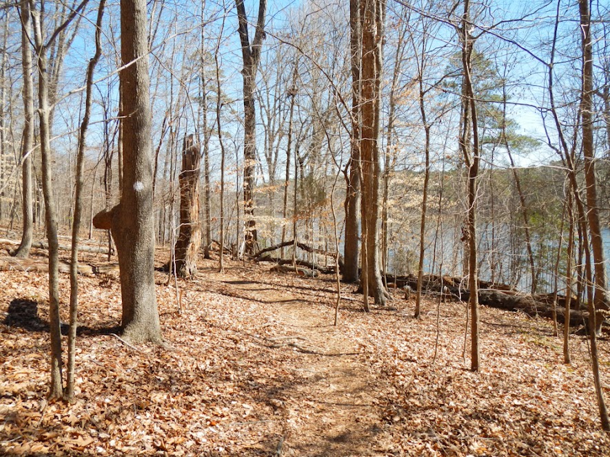 Section 1 of the Falls Lake Trail
