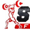 Steel Fitness Club logo