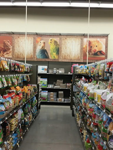 Pet Supply Store «Petco Animal Supplies», reviews and photos, 5120 E Bay Dr, Clearwater, FL 33764, USA