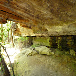 Southern Lyrebird Gully Cave (376979)