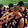 brandon bernardino brandon bernardino's profile photo