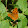 Laura G Laura G's profile photo