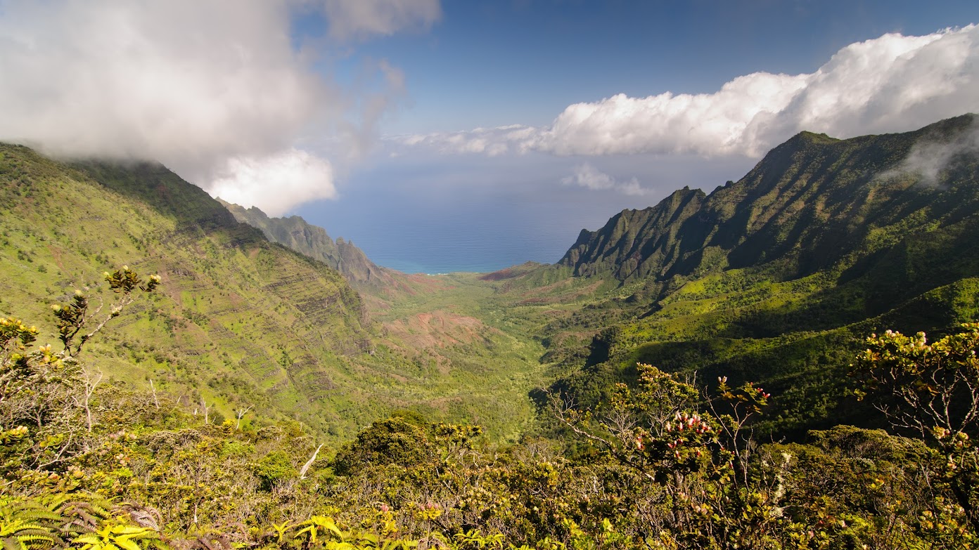 Kauai: Poipu - Hawaii: 3 islas en dos semanas (23)