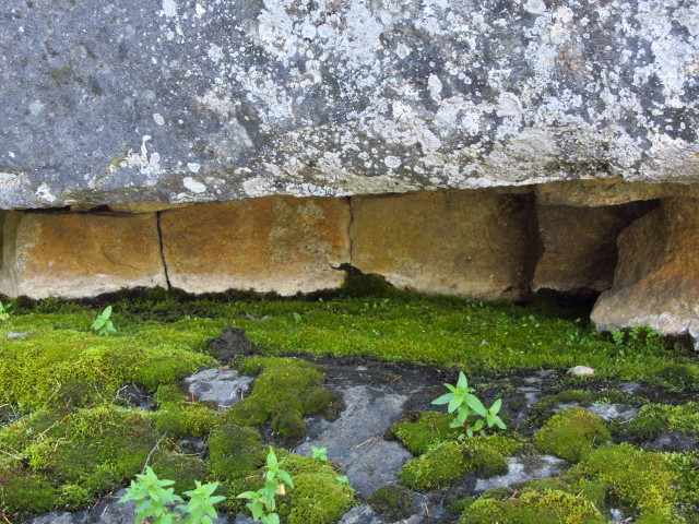 rock layers and some moss