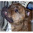Shannon Shea avatar image