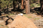 Paseo del Lobo Section 42 (Photo by M. Sorum)